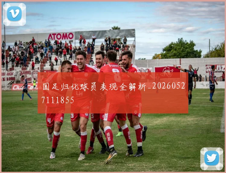 国足归化球员表现全解析_20260527111855
