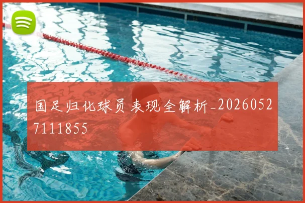 国足归化球员表现全解析_20260527111855