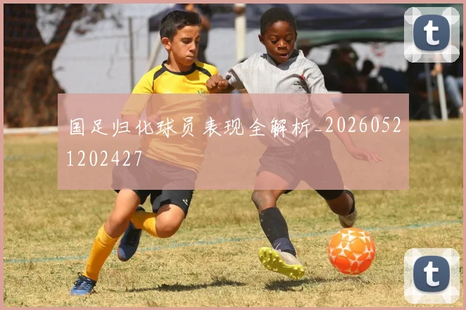 国足归化球员表现全解析_20260521202427