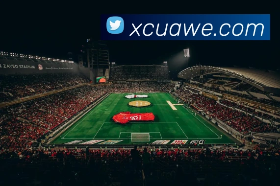 世界杯官网2026,在线买球平台平台生态图